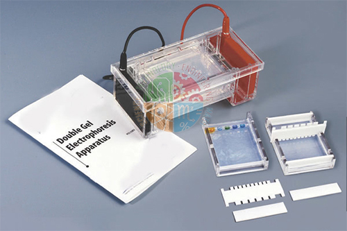 Double Gel Electrophoresis Apparatus