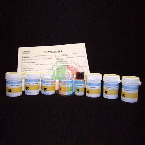 Enzymes Set