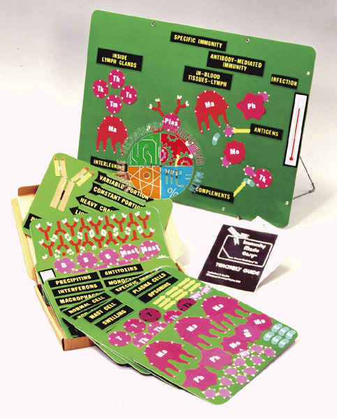 Teaching About Immunity Kit